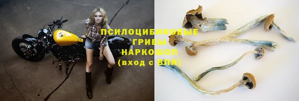 трава Нефтегорск