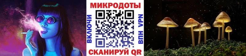 магазин  наркотиков  Ядрин  OMG онион  Псилоцибиновые грибы Cubensis 